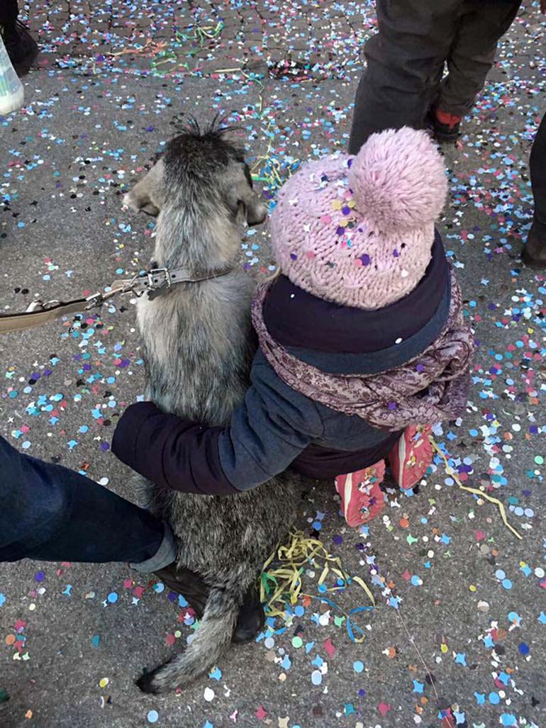 amor-di-schnauzer-fred-flinstone