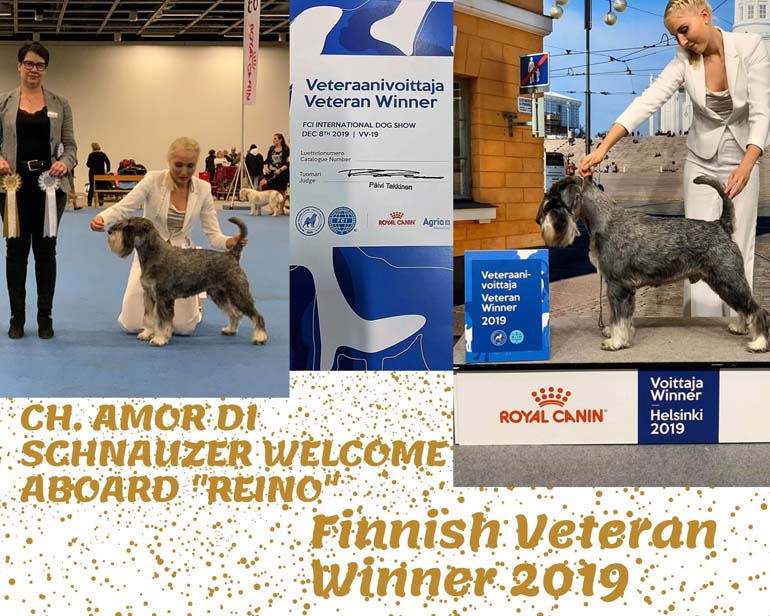 ch_amor_di_schnauzer_welcome_aboard_reino