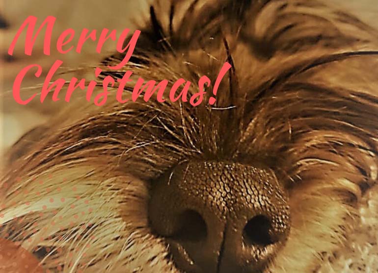 buon_natale