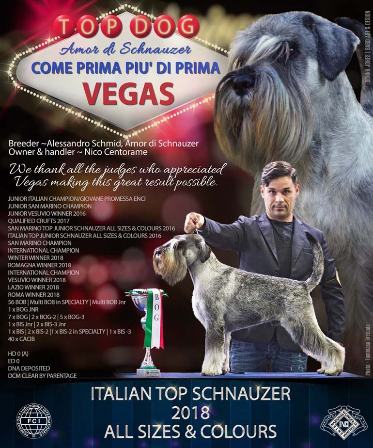 top_schnauzer_2018