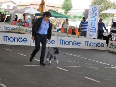 amor-di-schnauzer-hula-hoop-bos-juniores